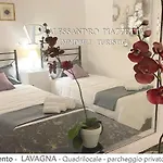 Casa Ceo *
