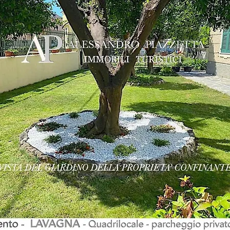 Casa Ceo *