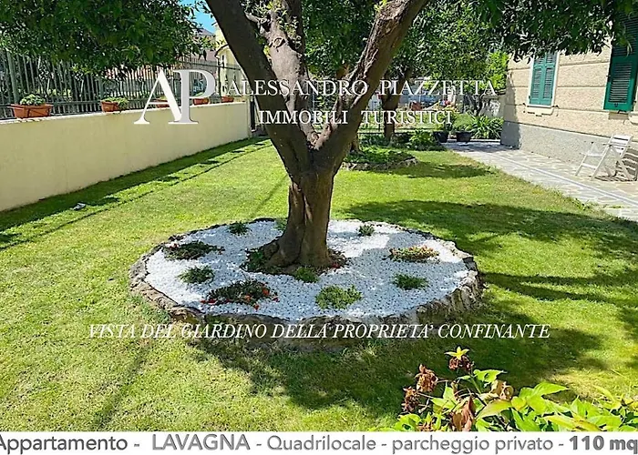 Casa Ceo *